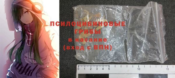 2c-b Надым