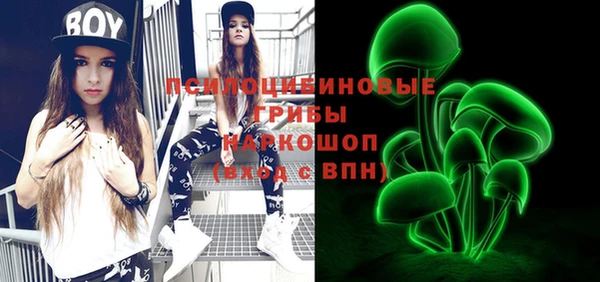 2c-b Надым