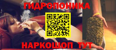 эйфоретик Гатчина