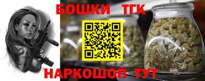 МДПВ Гагарин