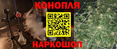 прущие крисы Гай