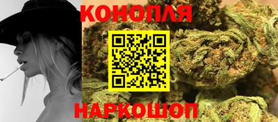 прущие крисы Гай