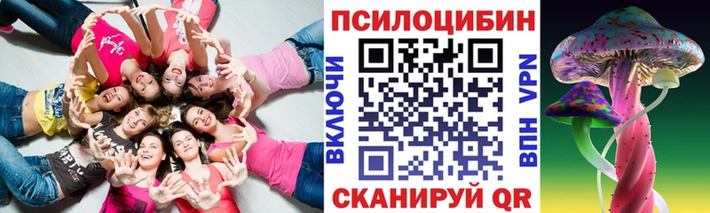 наркотики  Саранск  Псилоцибиновые грибы Psilocybe 