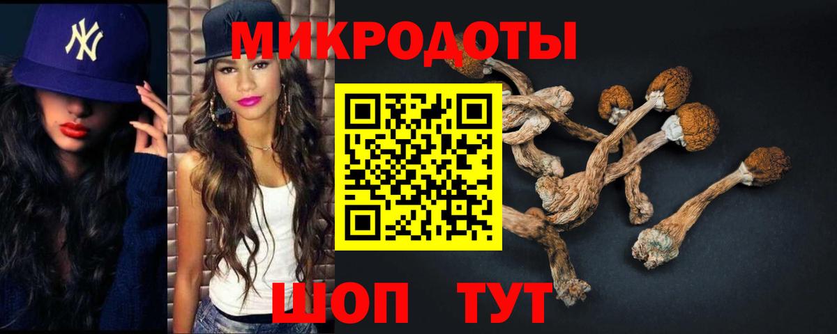 Псилоцибиновые грибы Cubensis Саранск